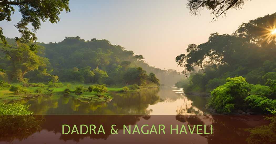 Dadra and Nagar Haveli and Daman and Diu – The Rich Traditions of the Warli Tribe