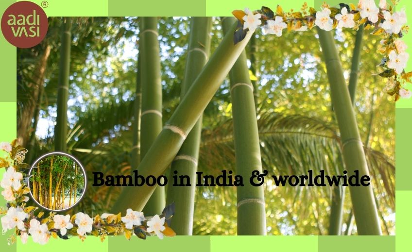 Bamboo alternative