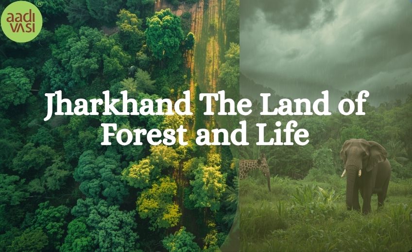 Jharkhand – The Land of Forests and Life