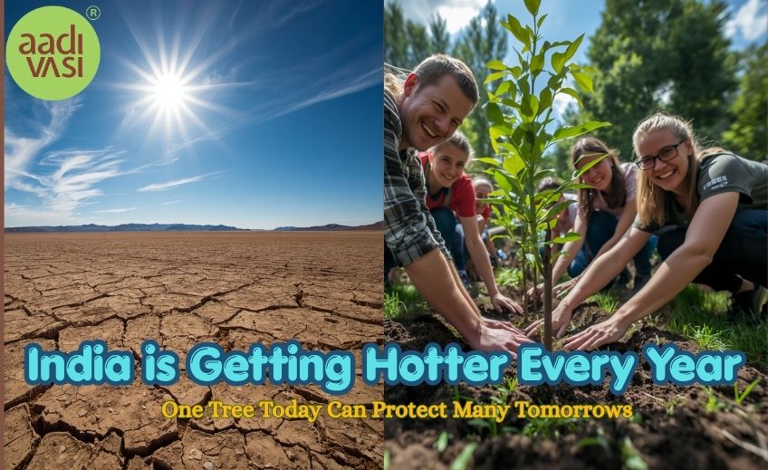 Tree Plantation Matters