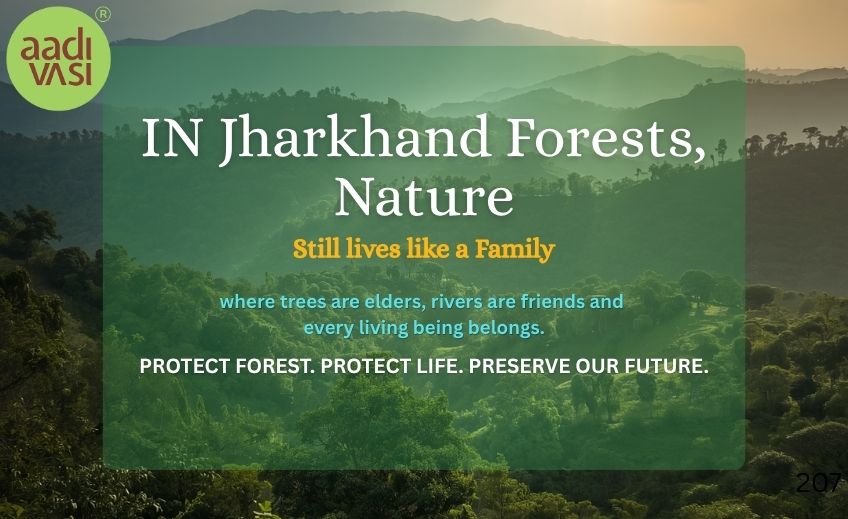 Jharkhand Forest