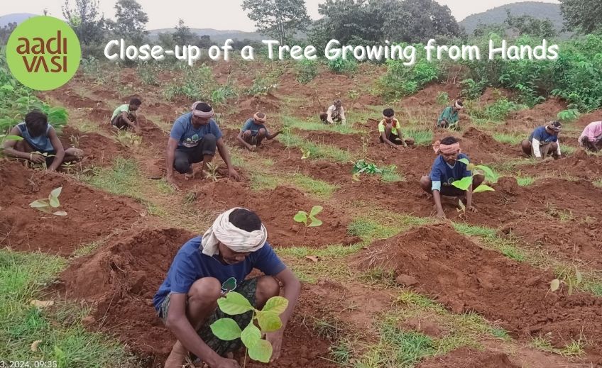 Why Trees Are the Greatest Gift We Can Give to the World