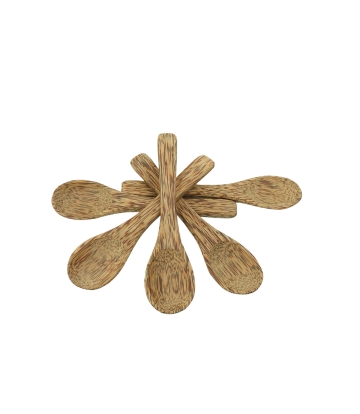 Coconut Shell Spoon Set Made by Tribes of Tamil Nadu (Set of 5 Spoons)